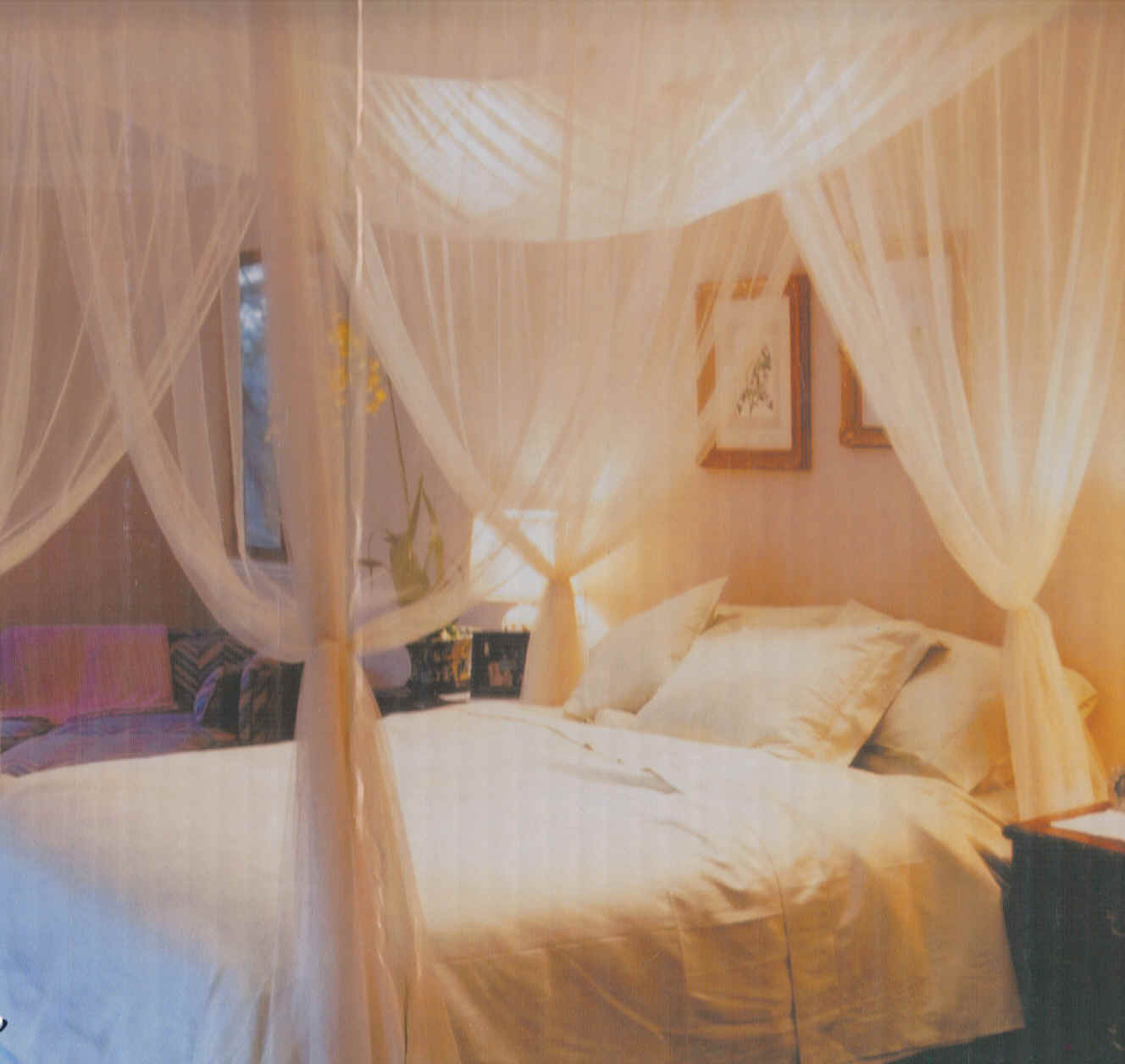 bed canopy | image gallery